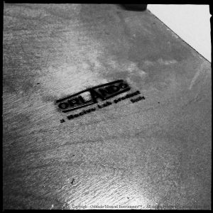 Orlando MobyDick Combo