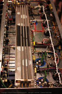 Orlando MobyDick PiggyBack